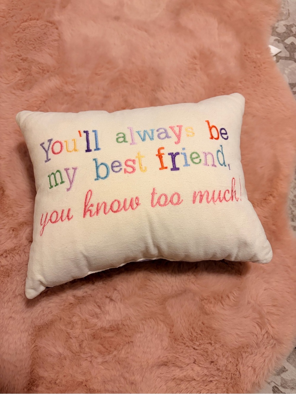 Embroidered Quote Throw Pillow - Multicolor Text on Cream